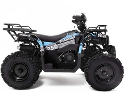 Квадроцикл SHARMAX Activator 250