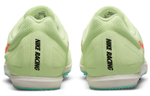 Кроссовки Nike Zoom Rival D 10