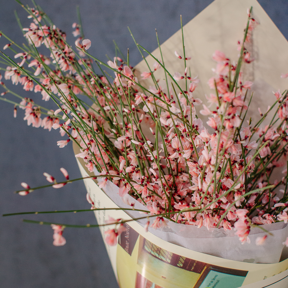 154. Весенний букет из ароматной генисты