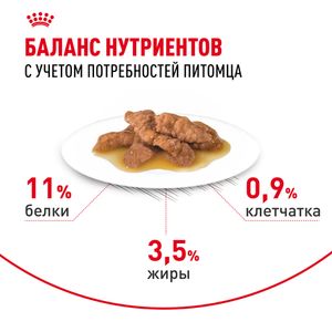 Пауч Royal Canin Indoor Sterilised для взрослых кастрированных и стерилизованных кошек, живущих в помещении, кусочки в соусе