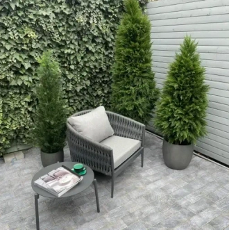 Искусственные растения