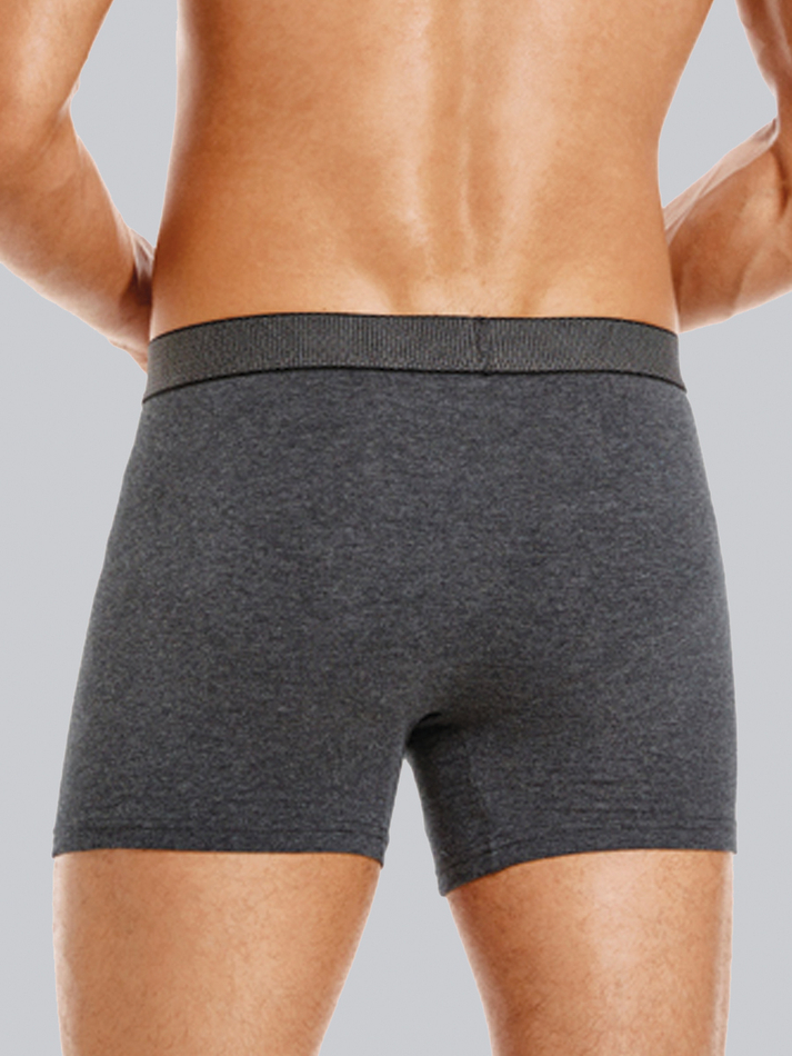 Классические боксеры