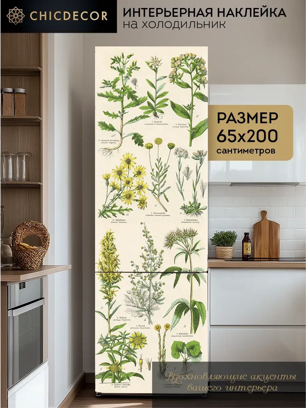 Наклейка интерьерная на холодильник Гербарий