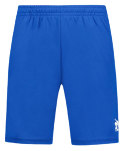 Детские теннисные шорты Le Coq Sportif Kids Tennis Pro N°1 - blue