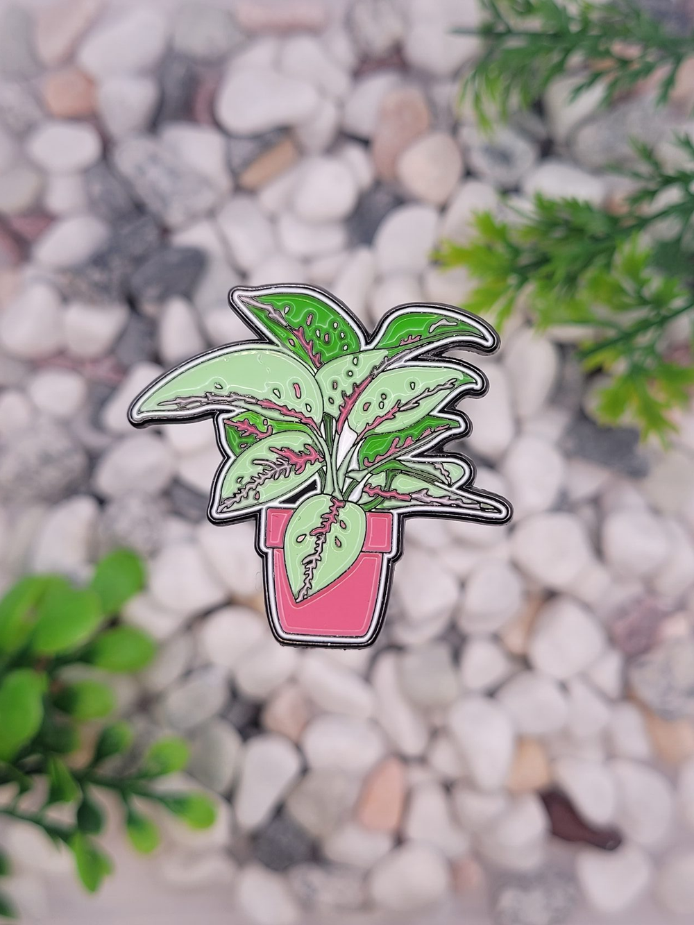 Значок Аглаонема Баттерфляй