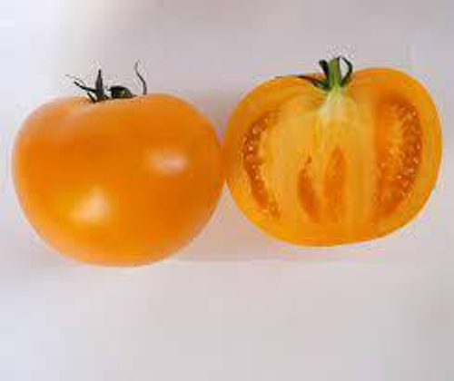 Томат Нукси (KS-17) F1