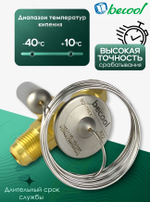 Вентиль терморегулирующий BC-TREX, для фреонов R22 и R407C