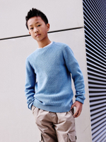 Джемпер для мальчика Next K84-093, Голубой