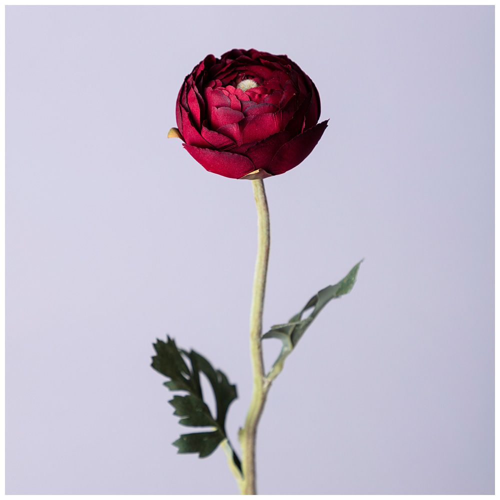 ЦВЕТОК ИСКУССТВЕННЫЙ "РАНУНКУЛЮС" ВЫСОТА=50СМ. (МАЛ.УП=24ШТ/КОР=96ШТ)