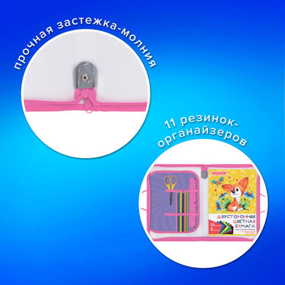 Папка для труда на молнии с ручками ПИФАГОР А4, 1 отделение, пластик, органайзер, "Anime eyes", 272228