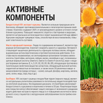 Куркумин с пиперином и маслом зародышей пшеницы витамины для здоровья суставов и связок (Curcumin & BioPerine) БАДы