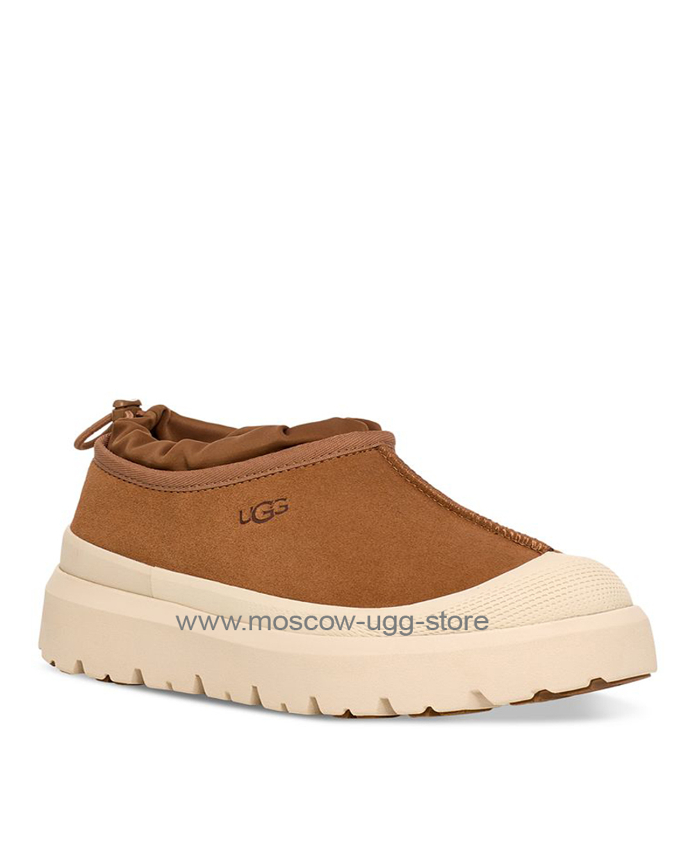 TASMAN WEATHER HYBRID SLIPPER-chestnut white