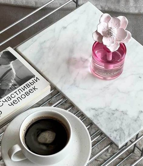 Scent of Ardor, ароматический диффузор с необычными палочками, Chando