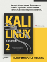 Kali Linux в действии. Аудит безопасности информационных систем. 2-е издание