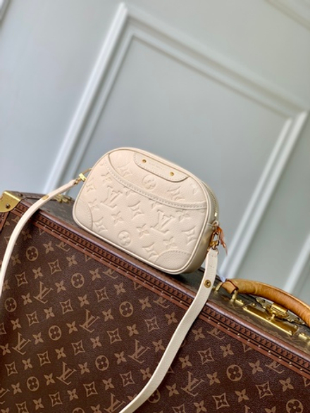 Louis Vuitton Tiny Camera Bag