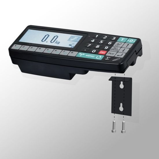 Весы стержневые МАССА-К 4D-B-12/1-1000-RA