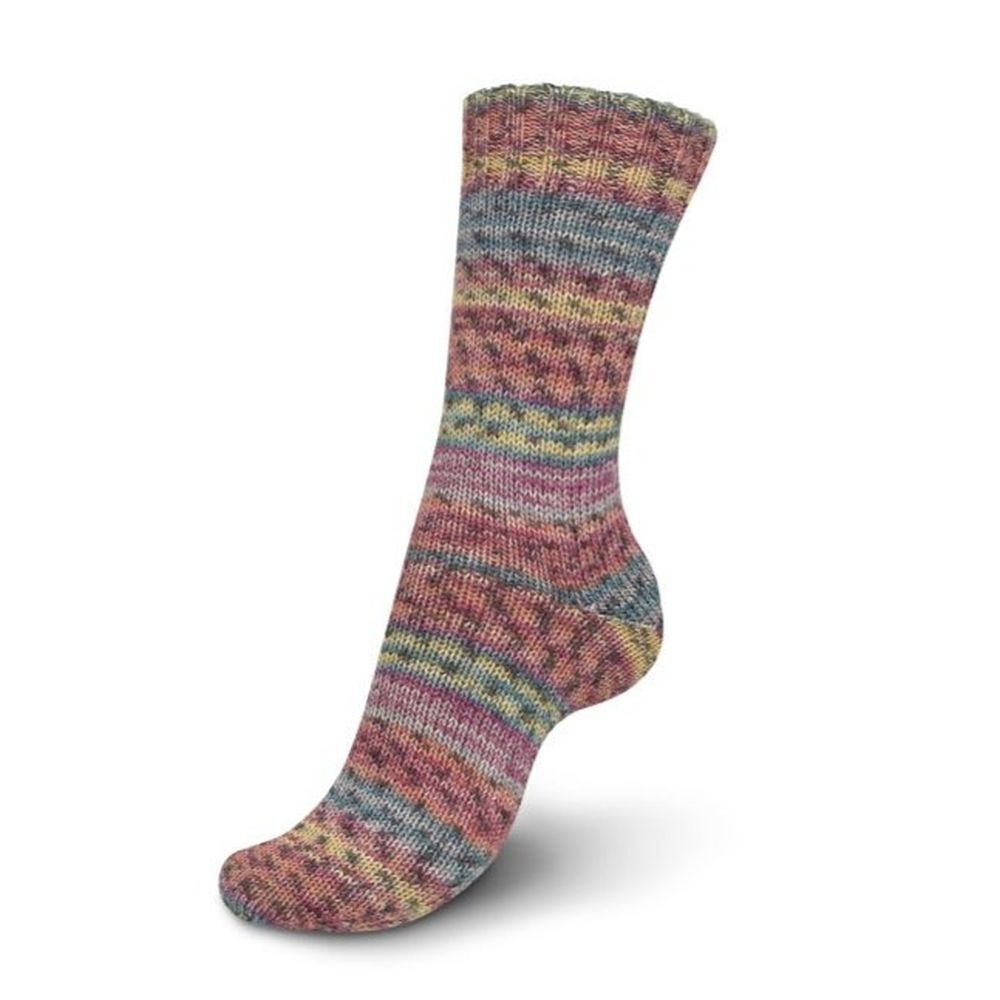 Regia Anniversary Color 4 ply - 04072 (toby color)