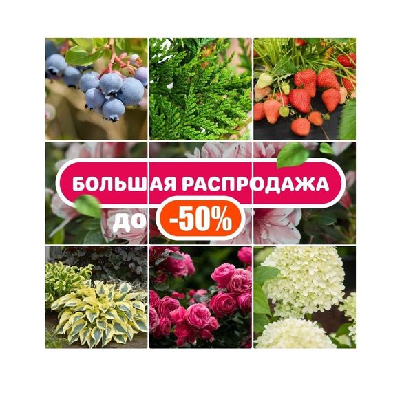 БОЛЬШАЯ СЕЗОННАЯ РАСПРОДАЖА! ☀️