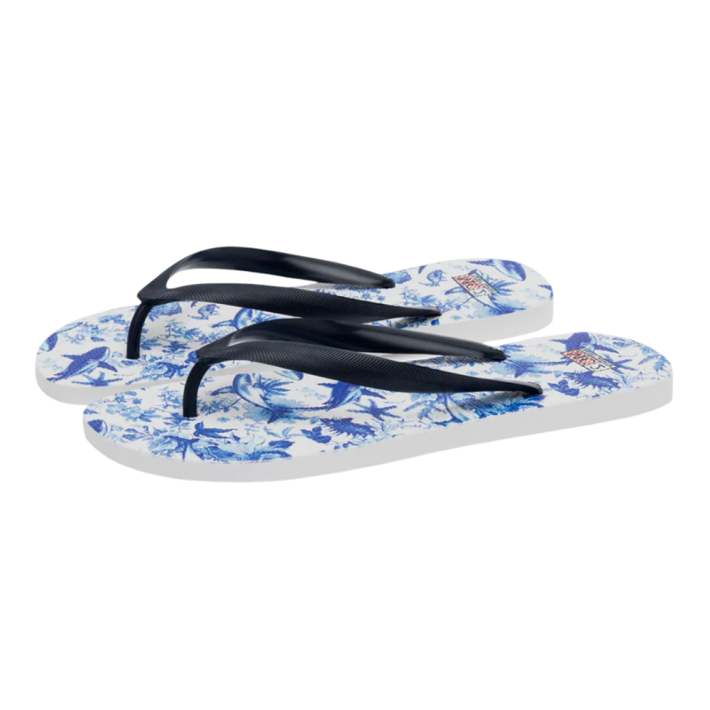 Сланцы MC Saint Barth tommy shark белые голубые акулы