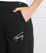 спортивные штаны Tommy Jeans - черный(DW0DW13821)