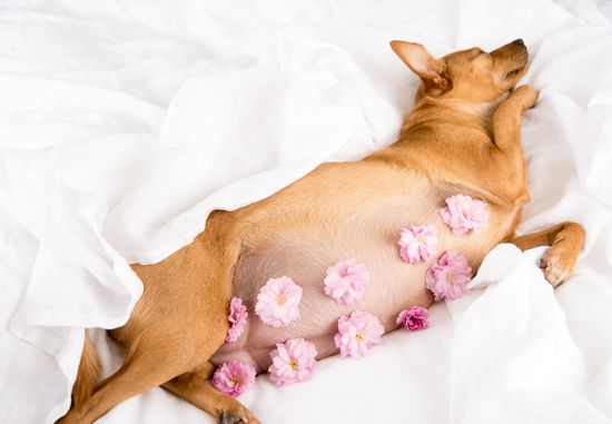 Любовь и контрацепция