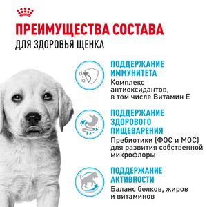 Сухой корм Royal Canin Labrador Retriever Puppy для щенков породы Лабрадор Ретривер до 15 месяцев