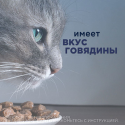 Курс Успокоин таблетки для крупных кошек 16 таб. Тразодон.