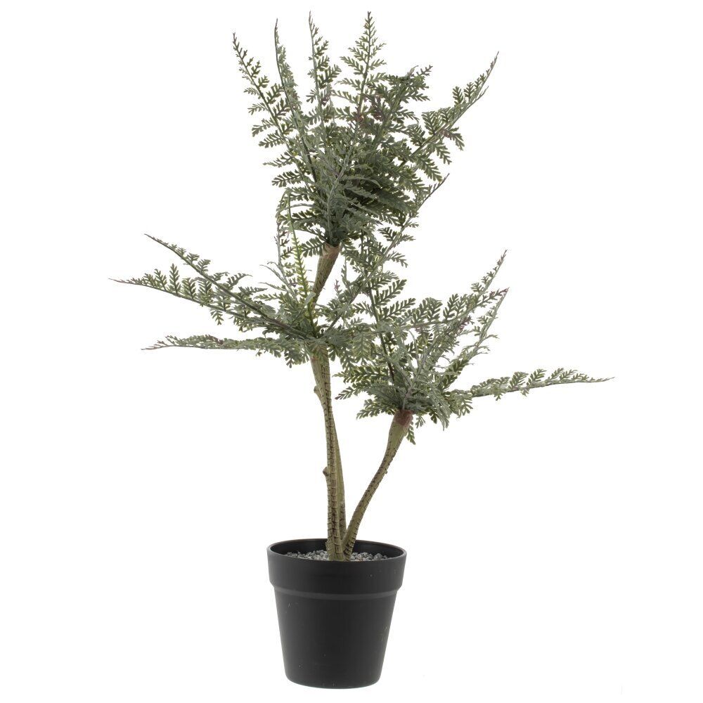 GAEM Цветочная композиция "Папоротник", L20 W20 H66 см