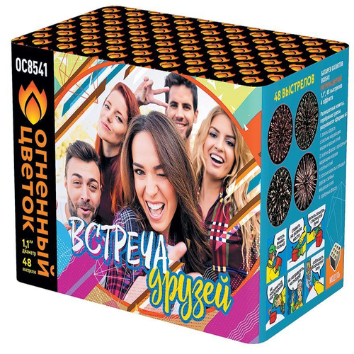 Батарея салютов "Встреча друзей" (1,1 х 48)