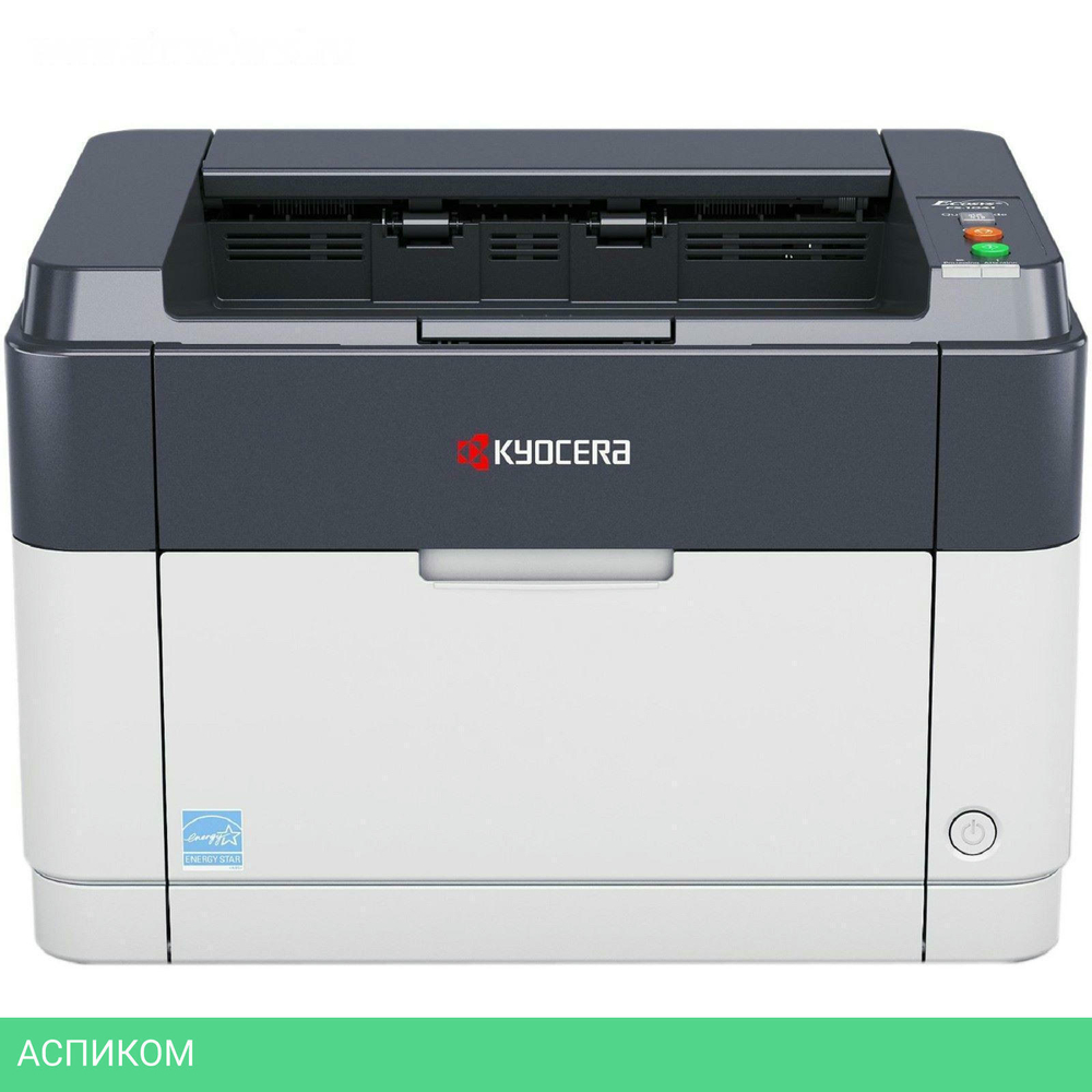 Принтер Kyocera Ecosys FS-1060DN (1102M33RU0)