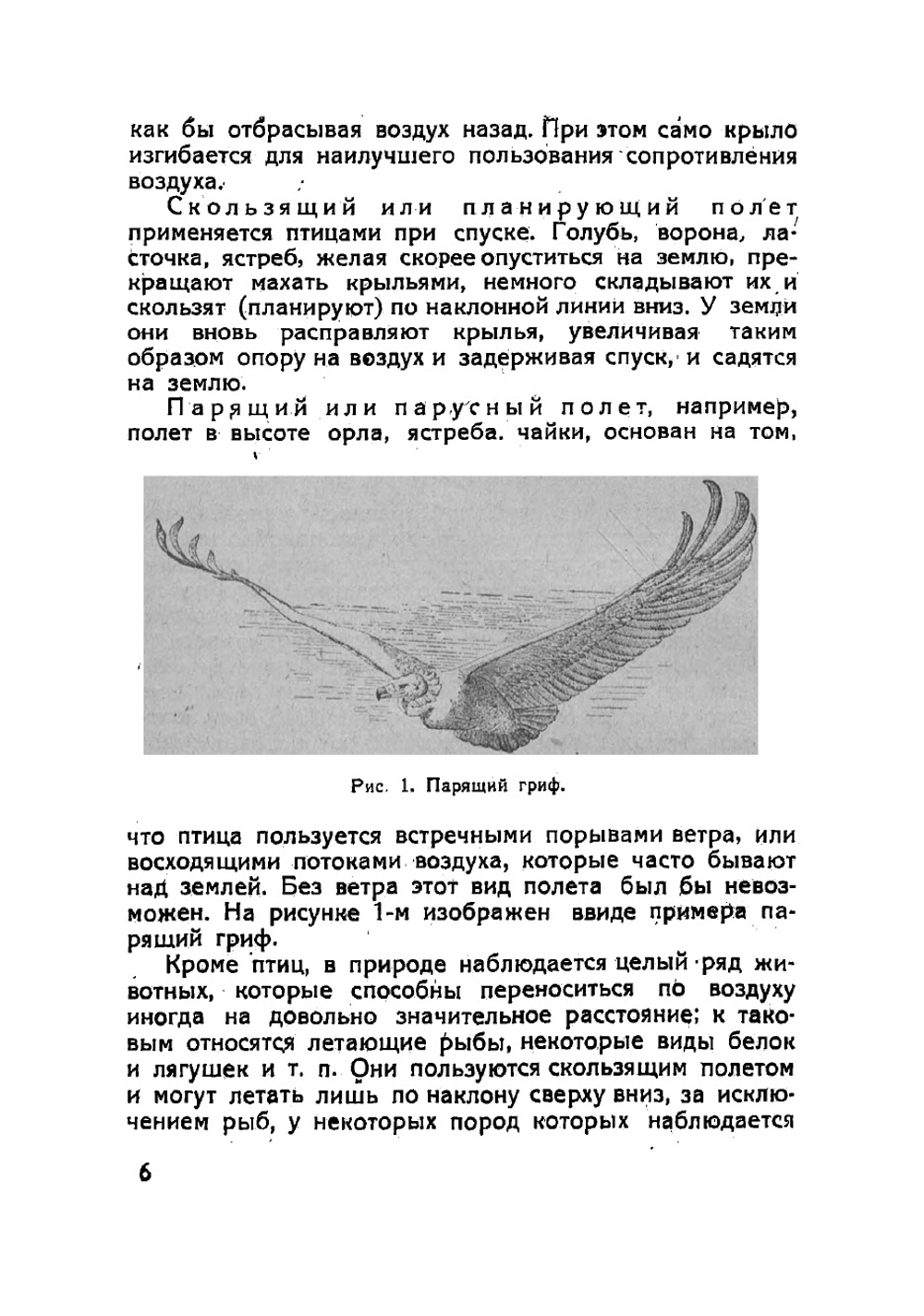 Аэропланы. Их устройство, управление и полет | Рынин Николай Алексеевич
