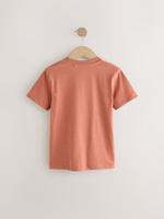 Футболка для мальчика Next E99-170, Светло-кирпичный