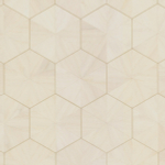 Ronald Redding Traveler