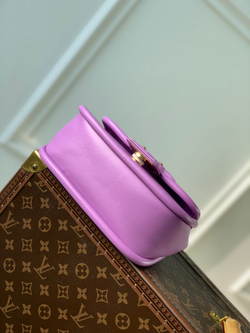 Louis Vuitton Hide & Seek Bag