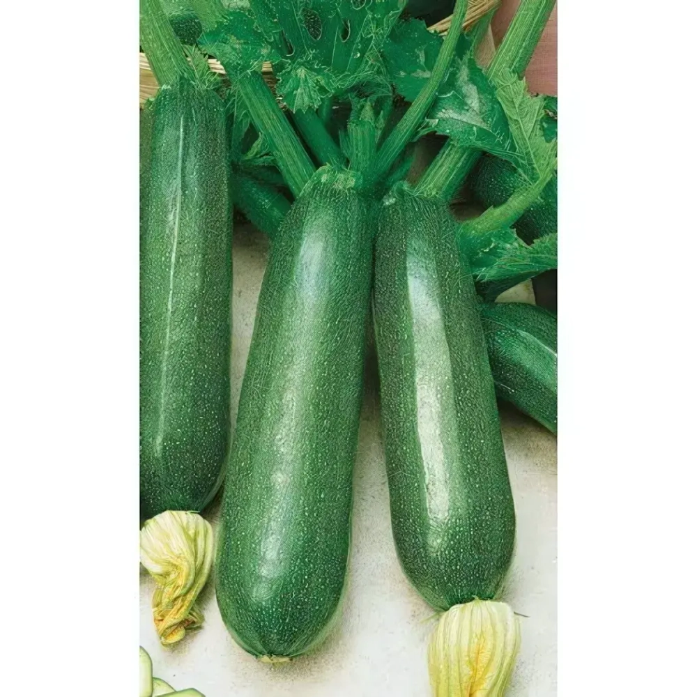 Семена Кабачок Скворушка - цуккини (Марс) 2гр Б/П