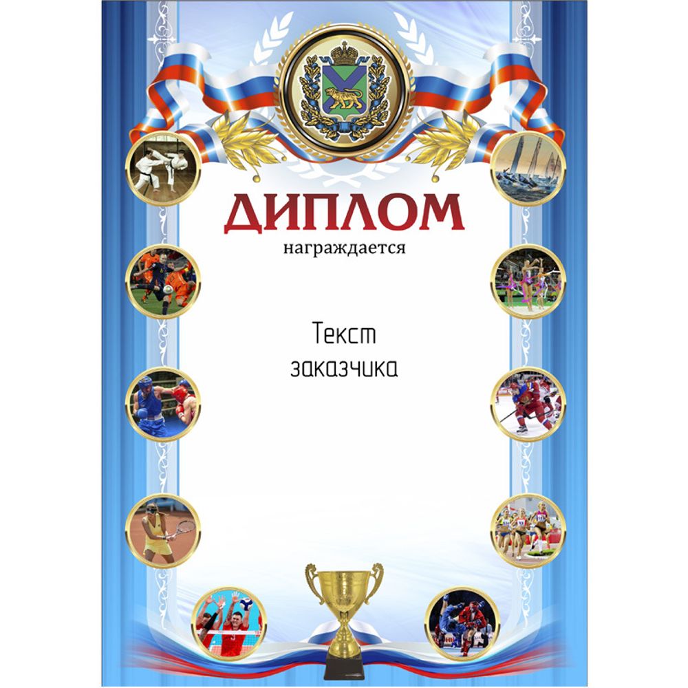 PNDiploma-503 с текстом