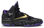 Кроссовки Nike Lebron 11 Bhm