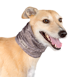 Повязка на шею для собак с пропиткой от насекомых "Insect Shield Dog Snood" SCRUFFS