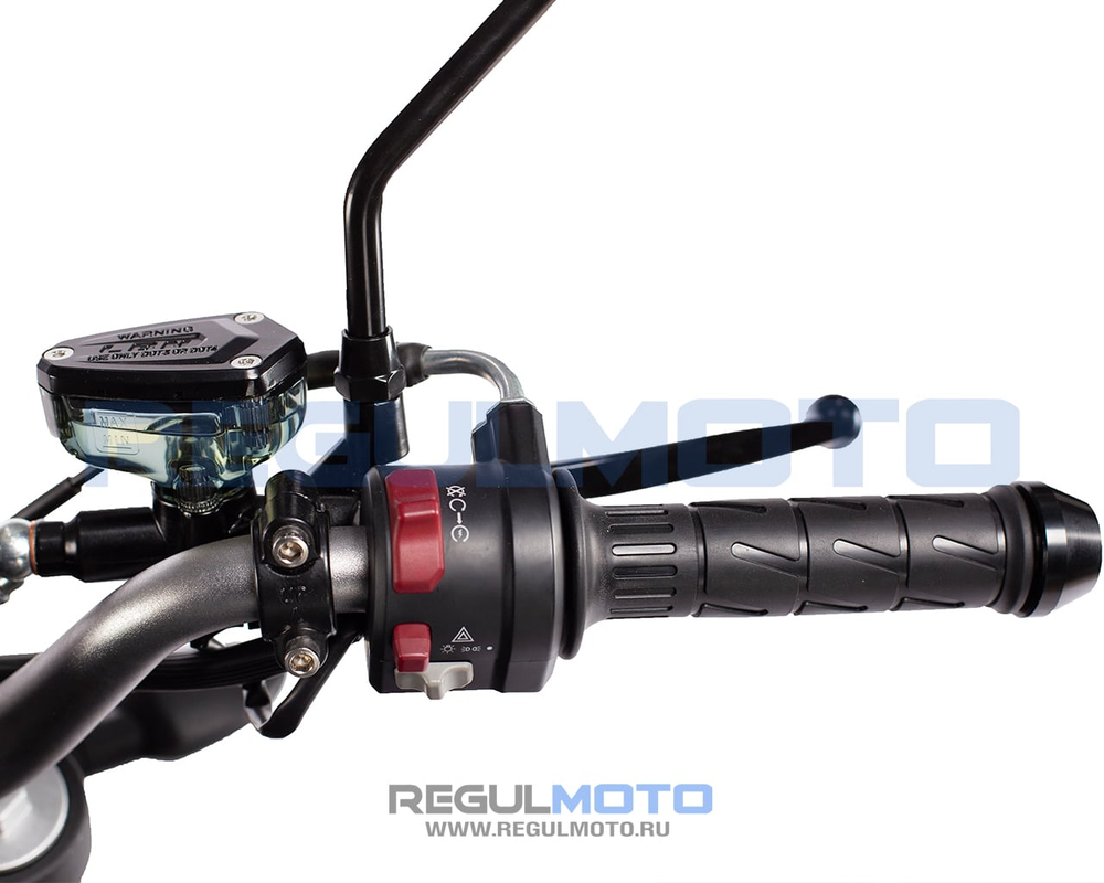 Мотоцикл Regulmoto ALIEN MONSTER 300