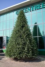 Большая елка «Финская» (Литая+пвх) 3 м