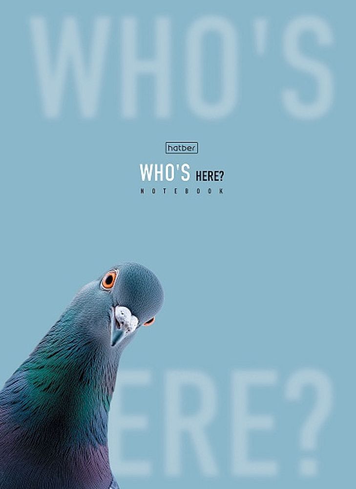 Бизнес-блокнот А4 80 л. ХАТБЕР Кто здесь? (80ББ4влВ1_35417)