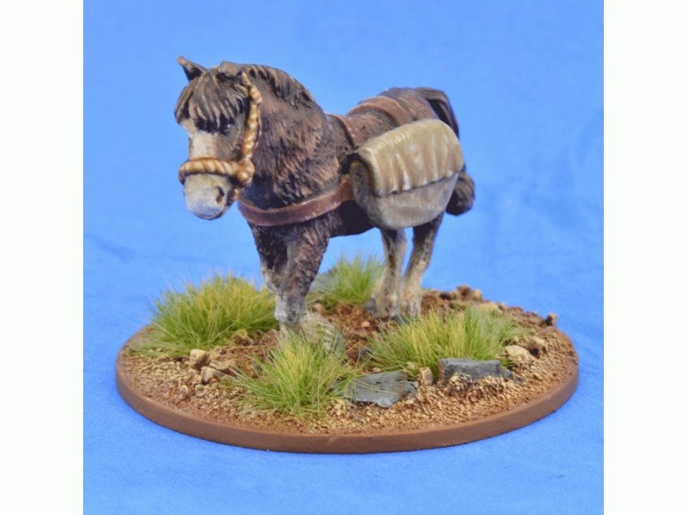 SSC18  Pack Pony  (Panniers)