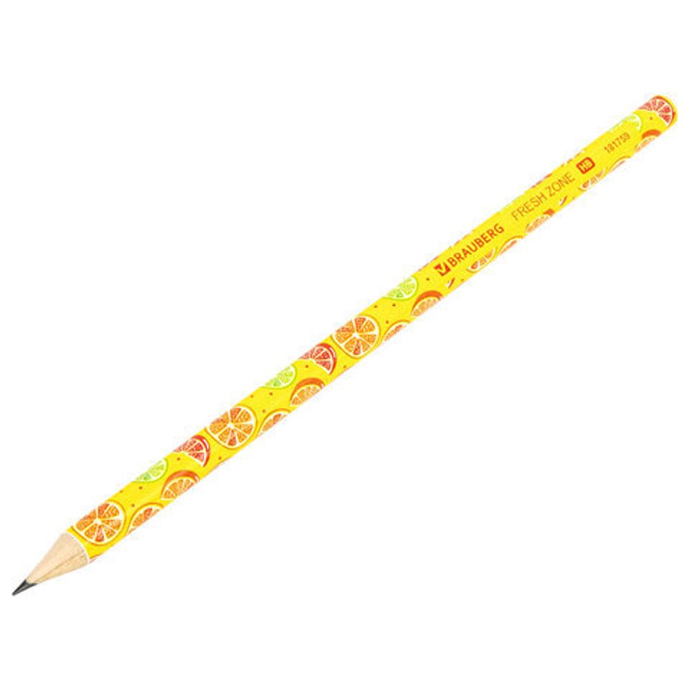 Карандаш чернографитный BRAUBERG "FRESH ZONE", 1 шт., HB, корпус ассорти, 181759