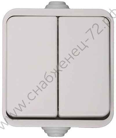 СВЕТОЗАР Баттерфляй, IP44 16A/~250В, Двухклавишный выключатель (SV-54334-W)