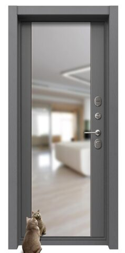 С зеркалом (графит)