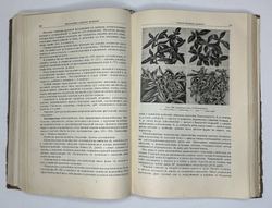 Г. Киселёв. Цветоводство., изд. 1949 г. Подарочное издание с цветными иллюстрациями.