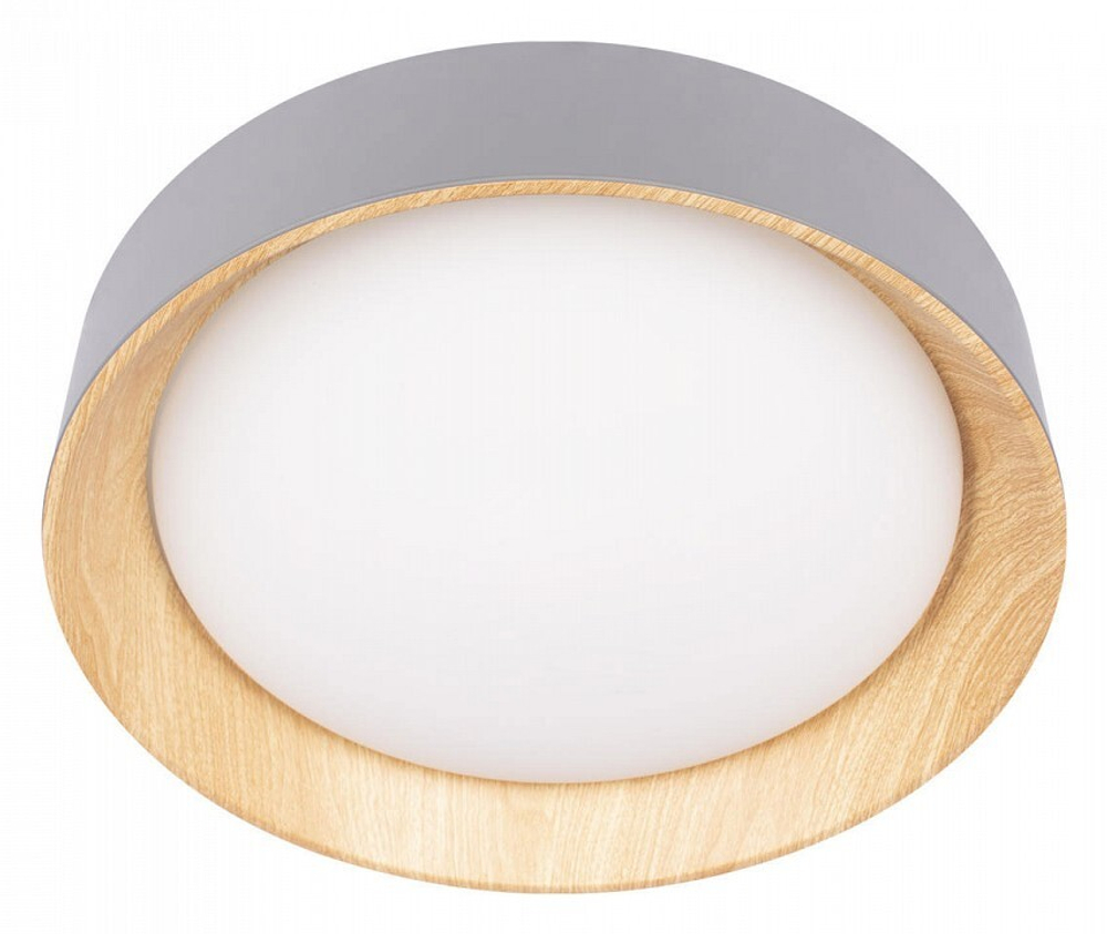 Накладной светильник Loft it Coin 10202 Grey