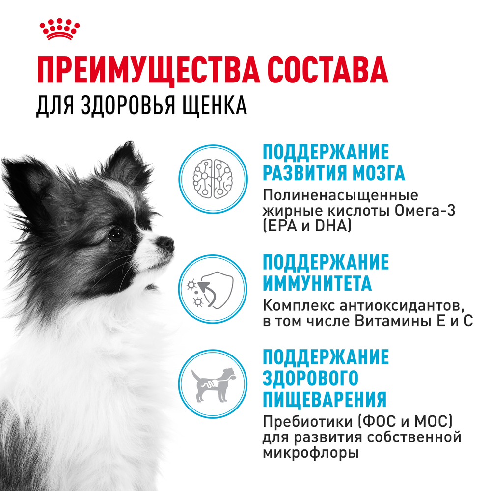 Royal Canin X-Small Puppy Икс-Смол Паппи Корм сухой для щенков миниатюрных пород в возрасте до 10 месяцев 500г