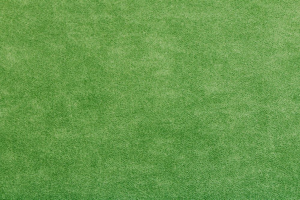 Коллекция Элефант