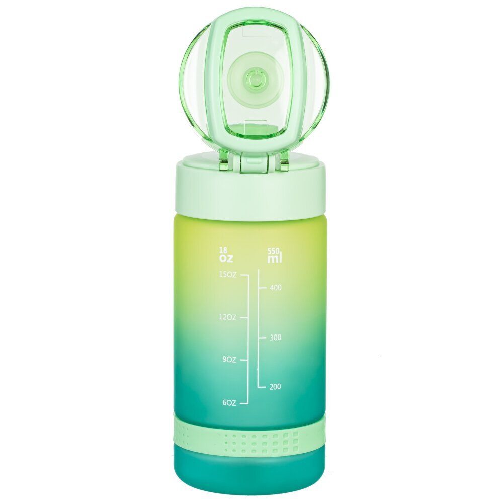 GAEM Бутылка, 550 мл, L7,5 W8 H18 см, 4в.